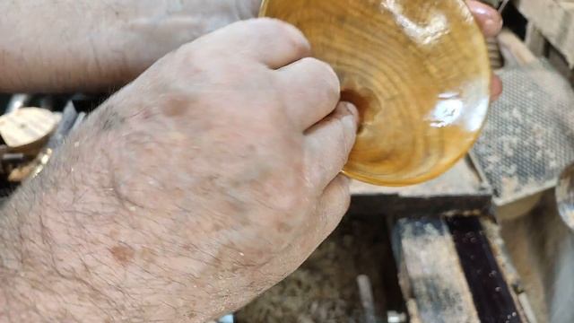 Пара тарелочек из камфорного лавра. смотреть онлайн