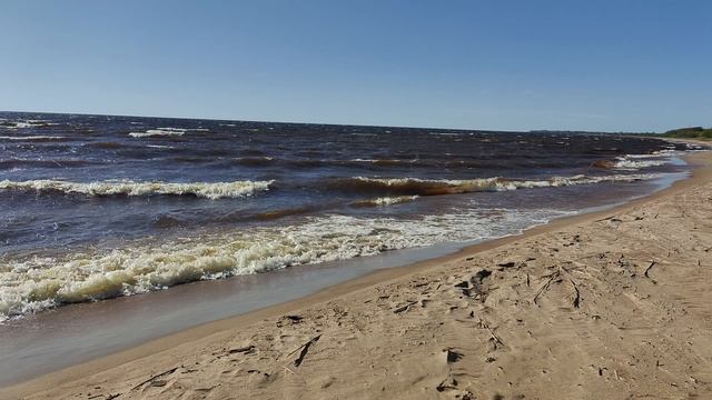 Чудское озеро, 19 мая 2025 года