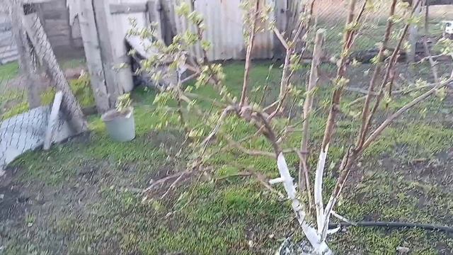 Жизнь женщины в деревне.Простая жизнь в деревне.Дерев?