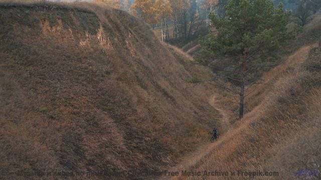 Кадры, которые доказывают существование магии - убедитесь сами! - Mushrooms -- HoliznaCC0 -- Chill O