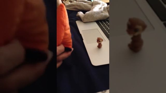 Злая морковка