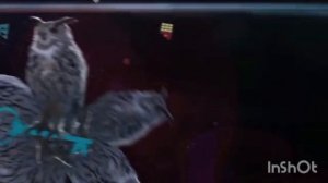 Заставка Что? Где? Когда?