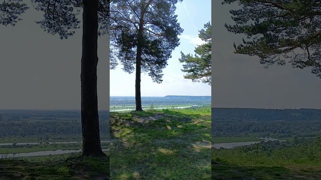 12-06-2025 смотреть онлайн