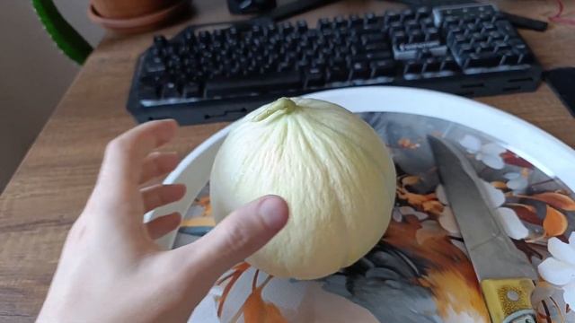 Белая Дыня