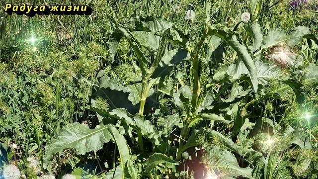 2025 будет годом богатства только для рожденных в эти го