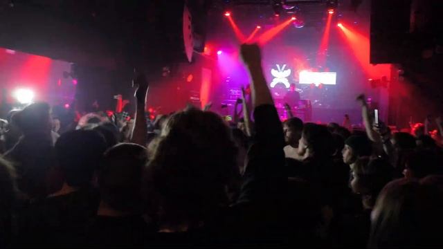 06.04.25 Муравьиный лев