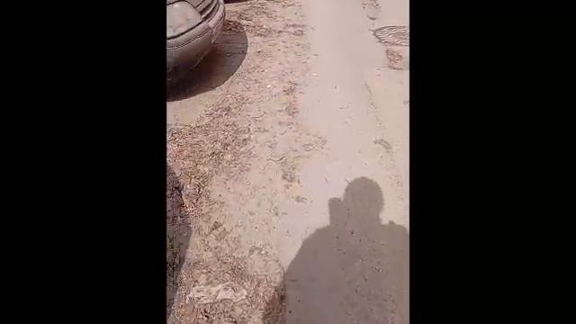 Заплати за дворника - убери сам