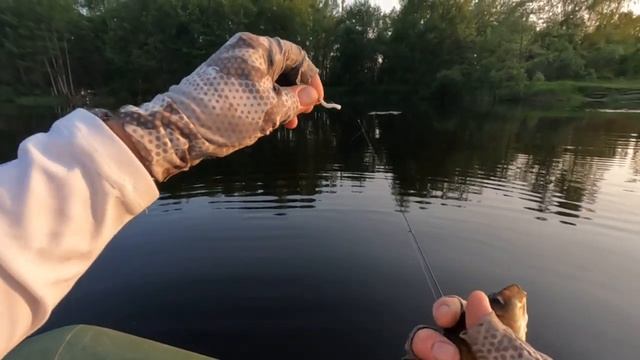 Карась на спиннинг?! ШОК-результат летней рыбалки! Неожиданные поклёвки и секреты ловли