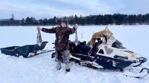 ЗАВЕЗЛИ ПРИВАДУ НА ЛИС И ВОЛКОВ. ДОМАШНЕЕ КОПЧЕНИЕ СВИНОЙ ВЫРЕЗКИ.ПРОВЕРЯЕМ КРЮЧКИ НА НАЛИМА.