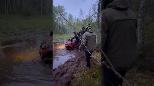 веселая поездка ☺️#brp #aodes #квадроцикл #рек #лес #подпиш