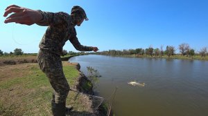 ГЛАВНОЕ НЕ УПАСТЬ. В ЛЮТУЮ МОШКУ РЫБУ ТАЩУ. Рыбалка на сазана, жереха. Сазан на закидушки.