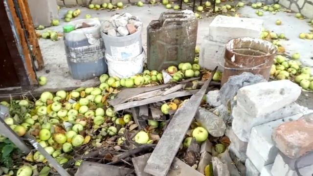 Яблоки, конец октября смотреть онлайн