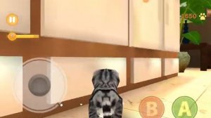 kitten cat simulator страшный взлом игры 2019 история 1 часть