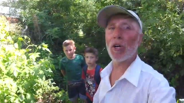 № 19  КОВЫЛЬ, ОГУРЦЫ, ПАРОМ