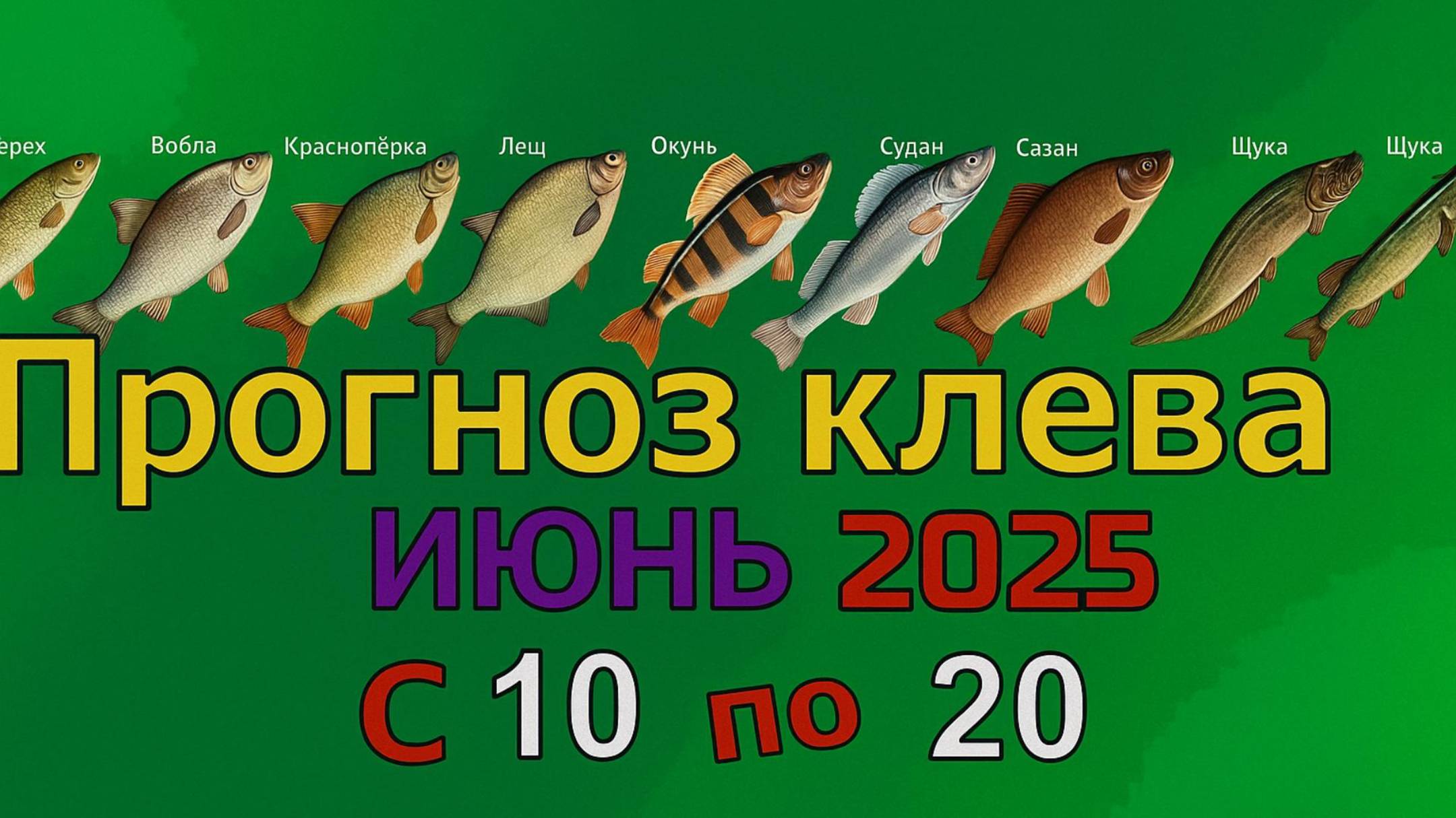 Когда лучше клюет рыба на этой неделе с 10 июня по 20 Июня 2025