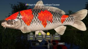 3000 СЕРЕБРА С ОДНОЙ ТОЧКИ НА МЕДНОМ В ПОВЫШЕННУЮ ТЕМПЕРАТУРУ В РУССКОЙ РЫБАЛКЕ 4 РР4