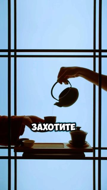 ВОТ ПОЧЕМУ нельзя пить ЧАЙ С ПОКЕТИКАМИ #tea #facts #fyp смотреть онлайн