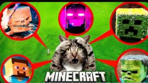 СТИВ, ЗОМБИ, СКЕЛЕТ, КРИПЕР из фильма МАЙНКРАФТ в Реальной Жизни! Кошки! ЛИНЯЕМ от СЮДА!!!
