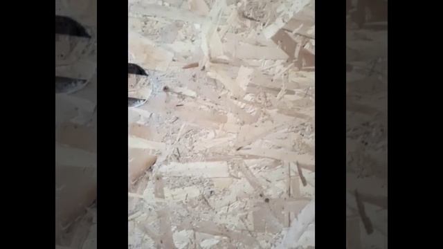 6 октября 2023 г. смотреть онлайн