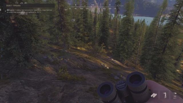 Way of the Hunter_2025 Лесной бизон-Альбинос смотреть онлайн