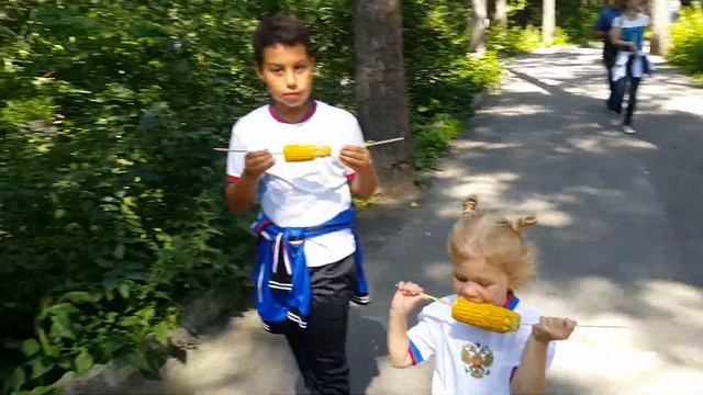 Кукуруза Лайк