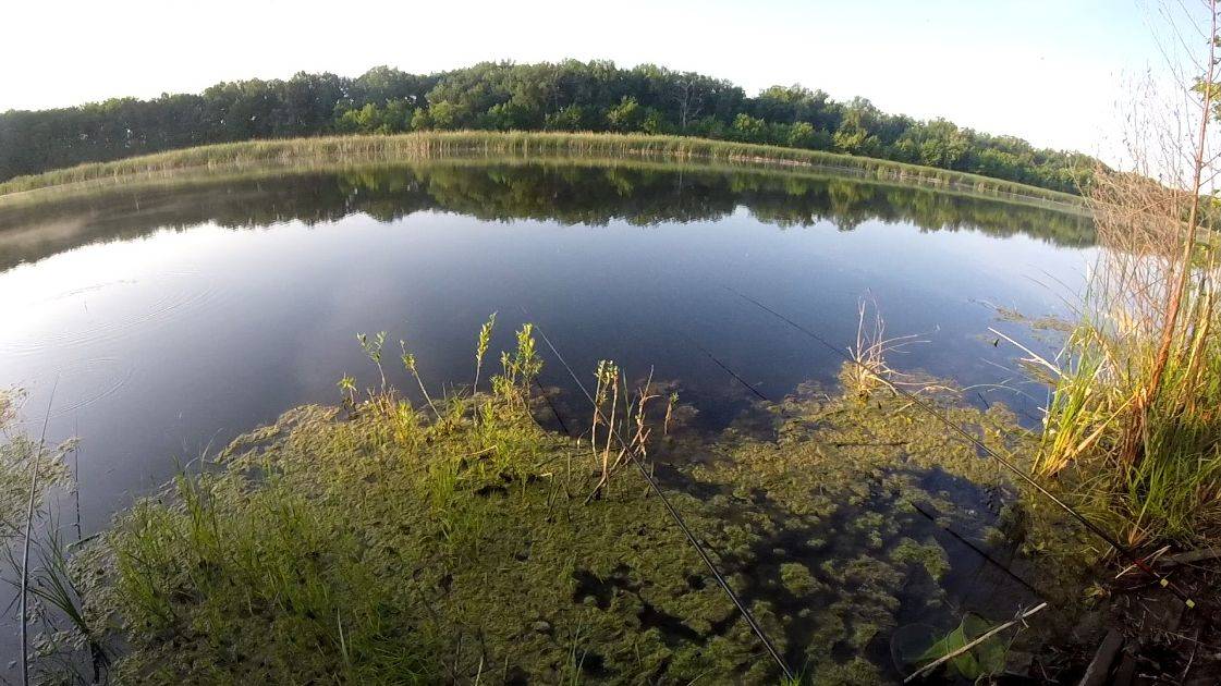 Рыбалка на удочку Самарская область о.Жерличное ловля карася смотреть онлайн