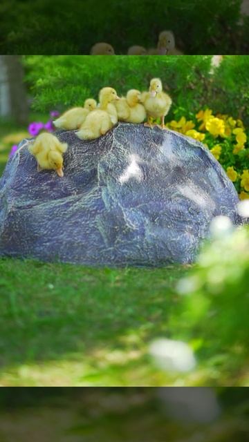 Превратите люк в элемент дизайна