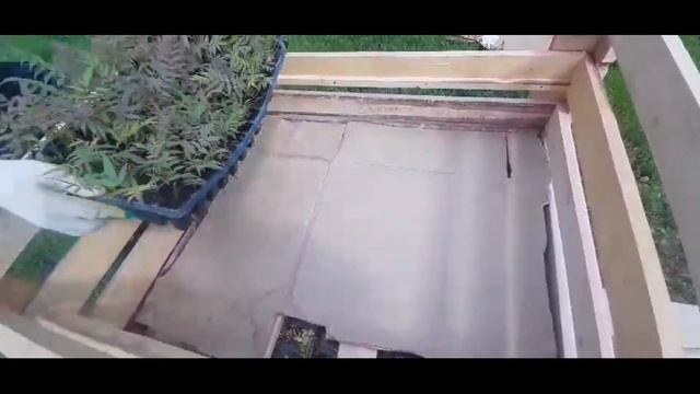 Изобретаем велосипед? Перевозка растений в кассетах н смотреть онлайн