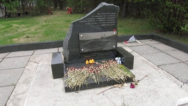 26.05.2023. Россия. Архангельская область. Ягры. Скорбный к?