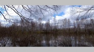 Утро принесло сиянье дня.. Стихи для души.. автор Гала Граф, в моем прочтении