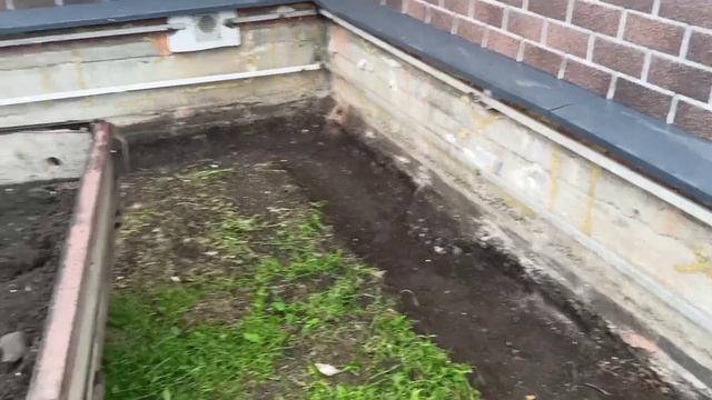 Не знаю, что будет с отпуском 🤷 Ко мне щенки пристают 🐕🐩 смотреть онлайн