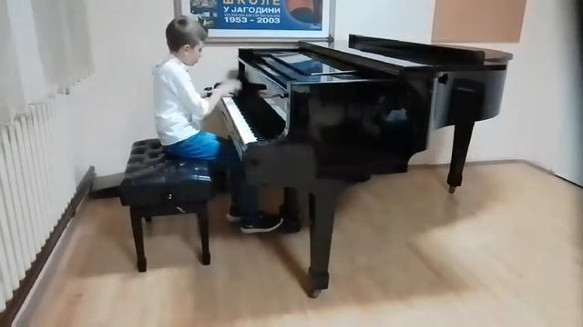 Лука Стојановић, Вернер: Бркови Холст: Пирати Манцини-?