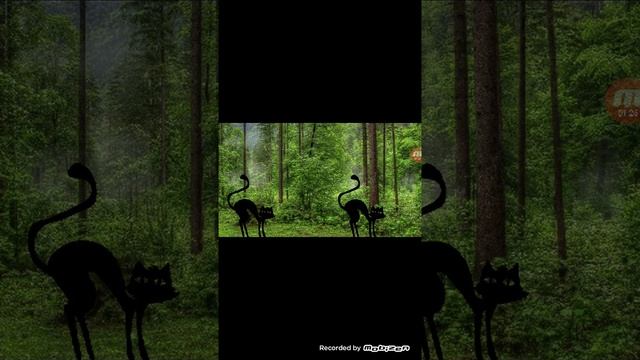 Игра Коты Воители в Покет Код смотреть онлайн