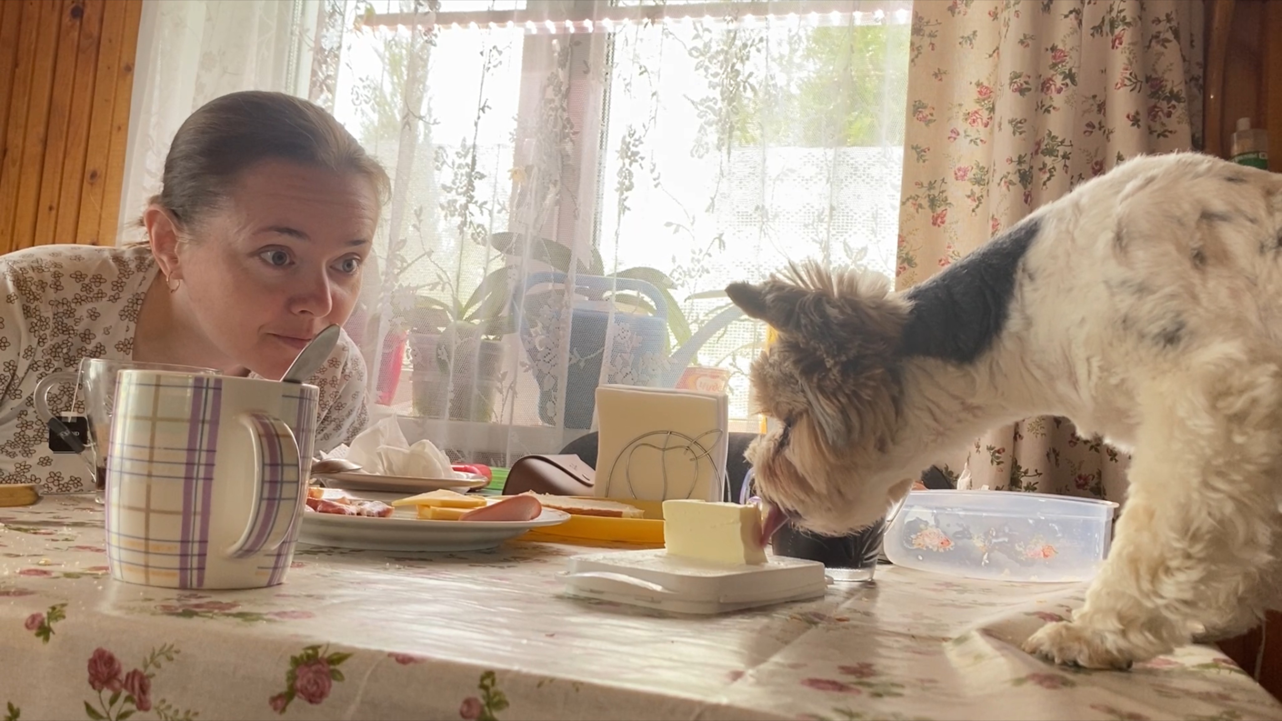 Милка проверку не прошла. Алла моет тепличку. смотреть онлайн