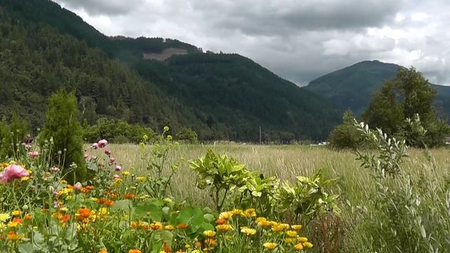 Музыка моих учеников. Инга. ВОСПОМИНАНИЯ.. смотреть онлайн