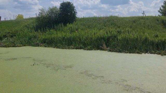 Вездеход болотоход 