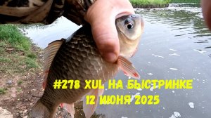 #278 Мормышинг и Дроп-шот 12 июня 2025