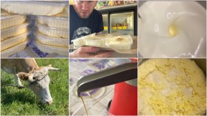 Сливочное масло 2400₽/кг
Ферма Павла Немоляева 
Жизнь в глухой деревне