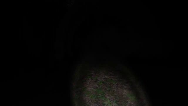 Он Следит За Мной... -||- Slender The Eight Pages