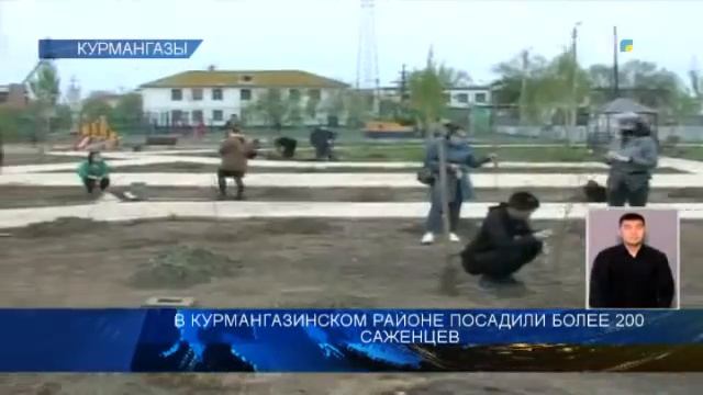 В КУРМАНГАЗИНСКОМ РАЙОНЕ ПОСАДИЛИ БОЛЕЕ 200 САЖЕНЦЕВ смотреть онлайн