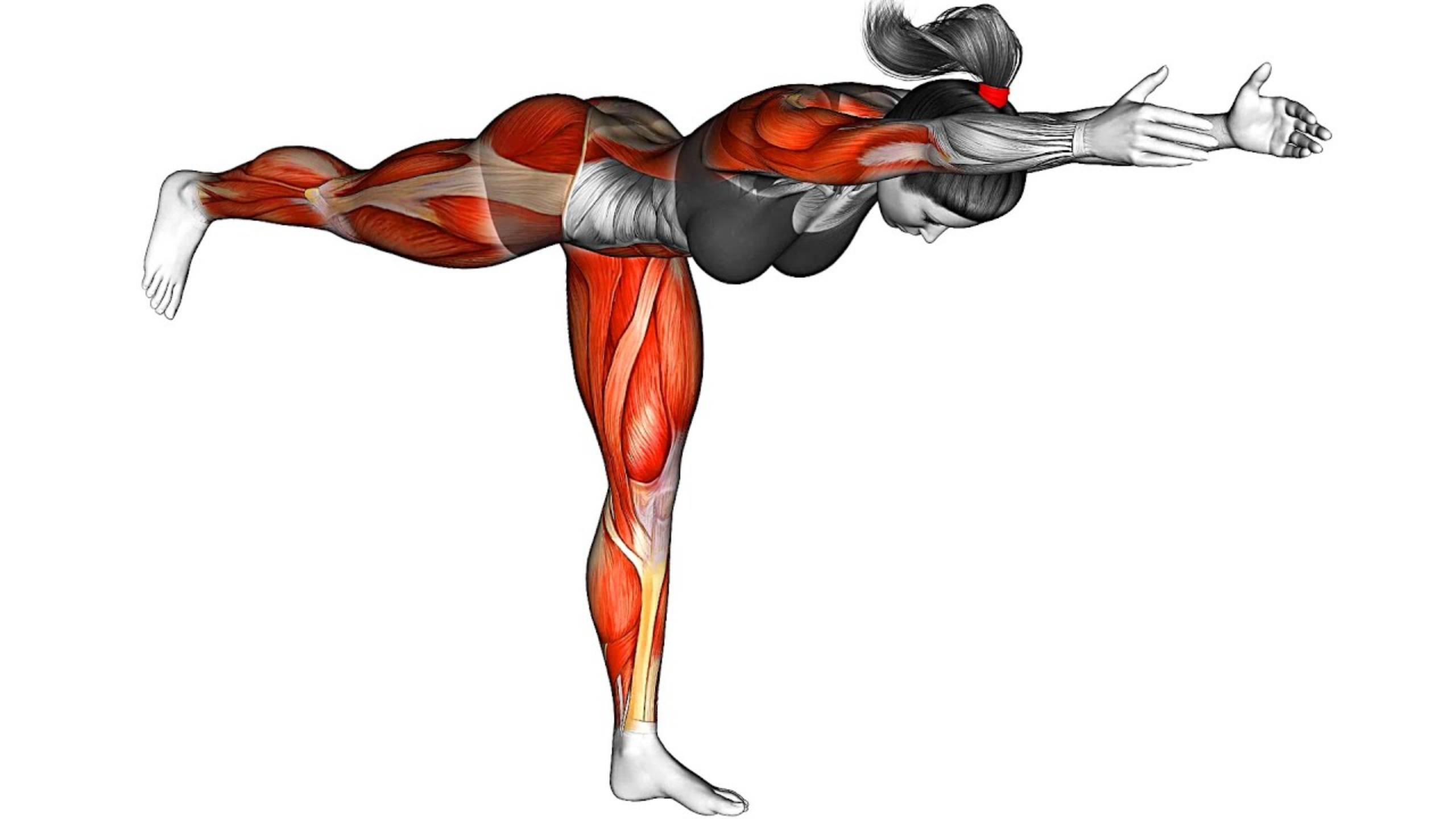 Идеальная Утренняя Домашняя Тренировка смотреть онлайн