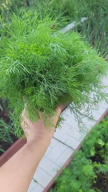 Букет смотреть онлайн