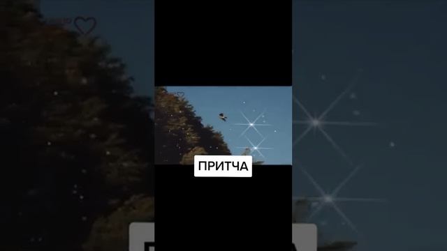 Что вам до сих пор мешает расправить крылья и взлететь