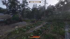 Kingdom Come Deliverance 2 - Лагерь дичекрадов и спасение барбоса #