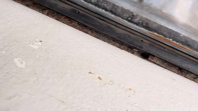 Дверь левая водительская для автомобиля Honda Civic 3 покол