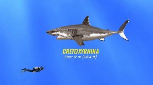 Сравнение размеров 30 вымерших монстров