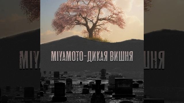 Дикая вишня