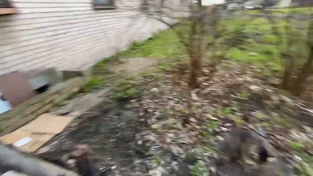 уехали от городской суеты с братаном Егоркой / канонер смотреть онлайн