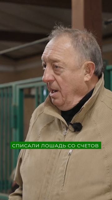 Лучшая порода пони для детей смотреть онлайн