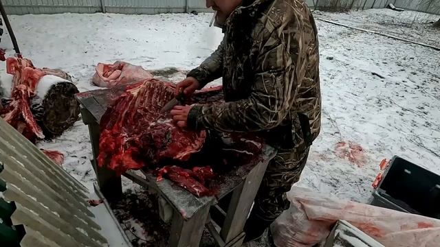 Тест ножа Owl Knife Ulula на охоте.  Сталь Магнакат / CPM Magnacut